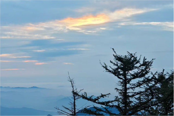 創(chuàng)想儀器泰山之行